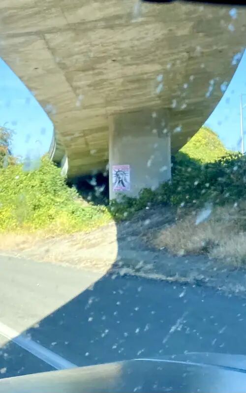 Seattle poster campaign photo